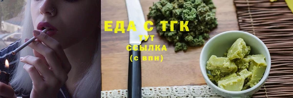хмурый Ельня